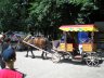 Kharkiv zoo 4.JPG - 